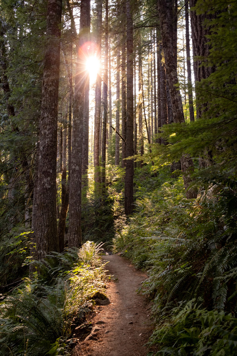 20220821-LOWER-FALLS-150