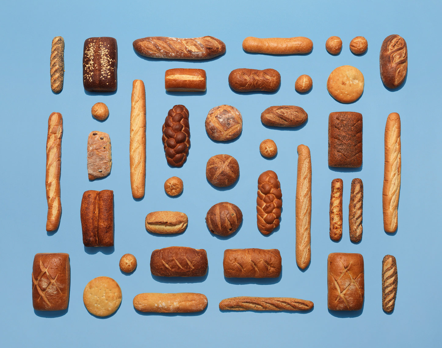 variety of crusty artisanal breads in a rectangle