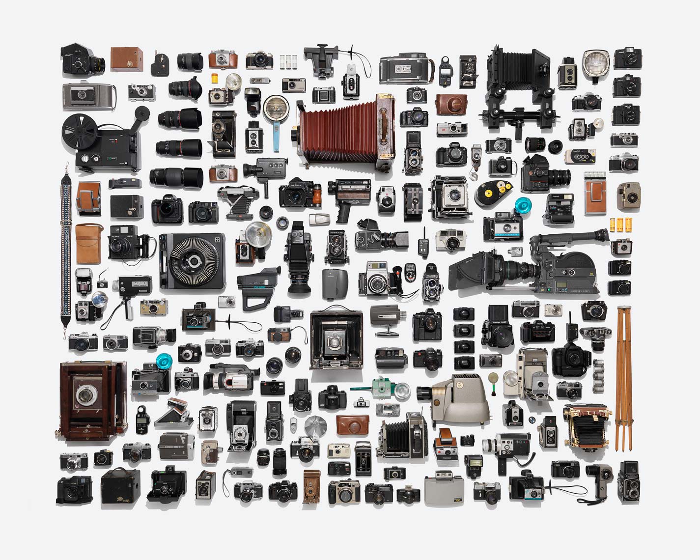 large camera collection from overhead on a white background