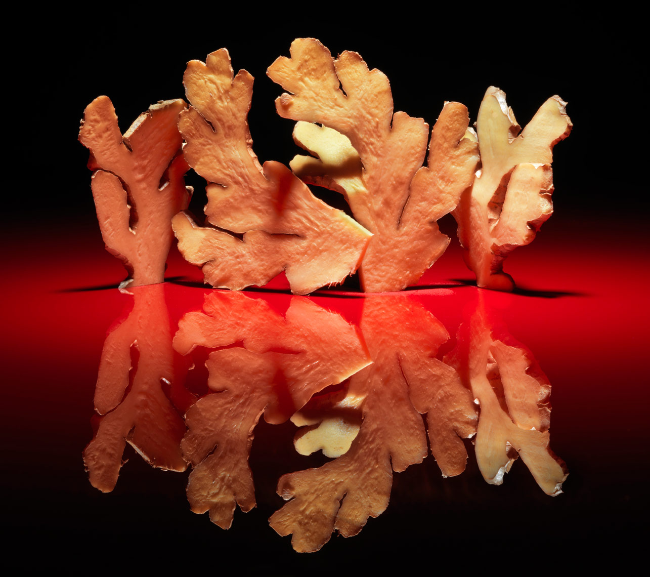 fresh organic ginger sculpture on a red background