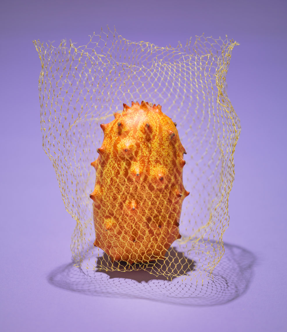 kinowa melon wrapped in produce bag on purple background