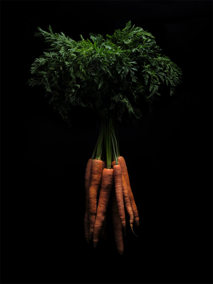 bunch if orange carrots with greens attached on black