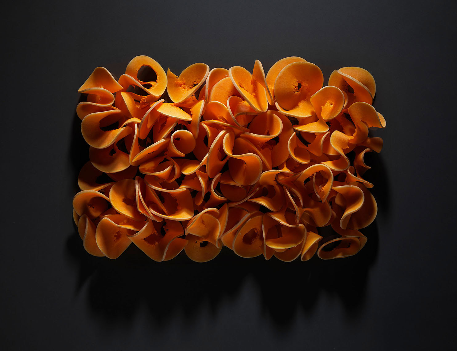 abstract spiralized orange squash on black